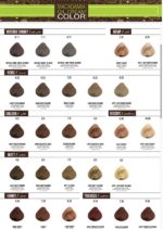 رنگ موی ماکادامیا macadamia - Image 2